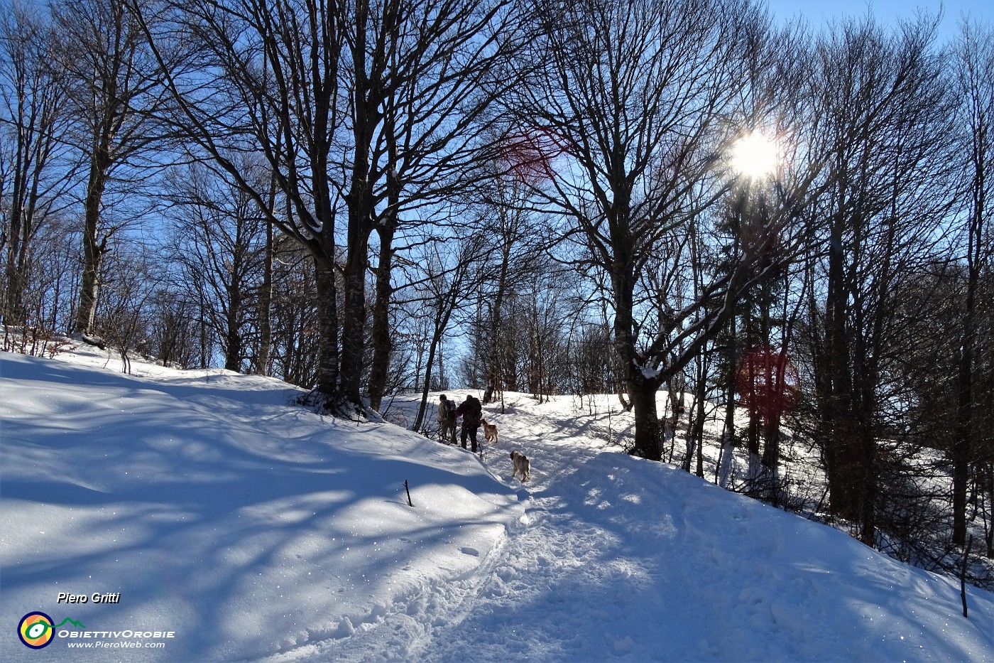21 In morbido saliscendi pestando neve .JPG